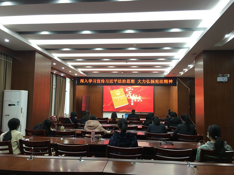 互聯網—防城港支局—國家外匯管理局防城港市中心支局開展2020年憲法周宣傳活動—20201204.jpg