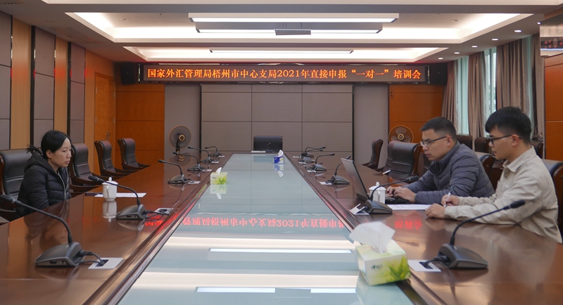 互聯(lián)網(wǎng)-梧州支局-國家外匯管理局梧州市中心支局開展直接申報“一對一”培訓活動-20211109.jpg